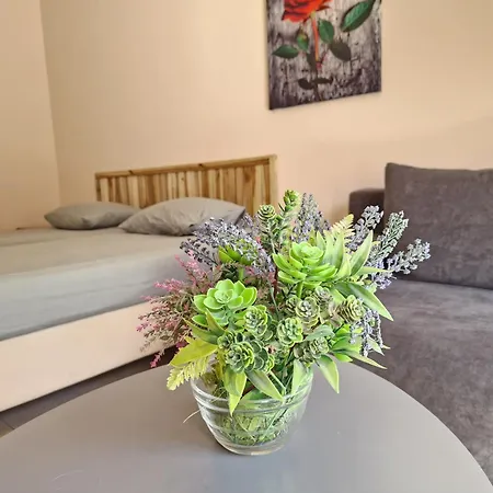 Beautifu Near Πάφος